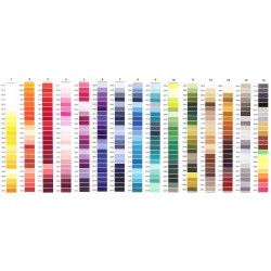 Filo per Ricamo Isacord 1000mt