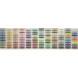 Filo per Ricamo Isacord 1000mt